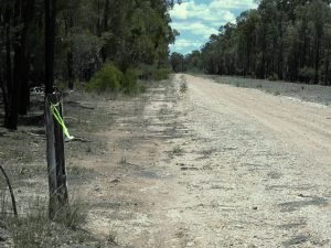 Track RH side boundary